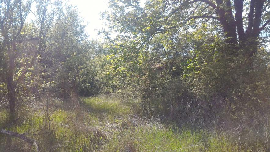 Chantier jamais terminé sur grande parcelle fermière