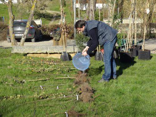 Plantation d'un arboretum à la Maison de la Forêt