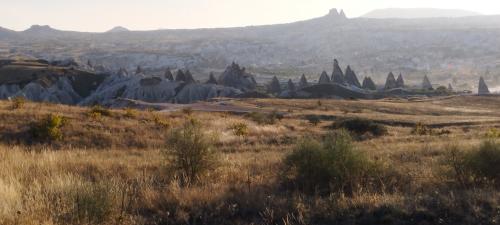 Retournons voir si la Rose...