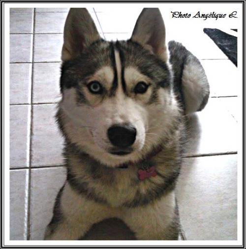 Jeska (2 ans)