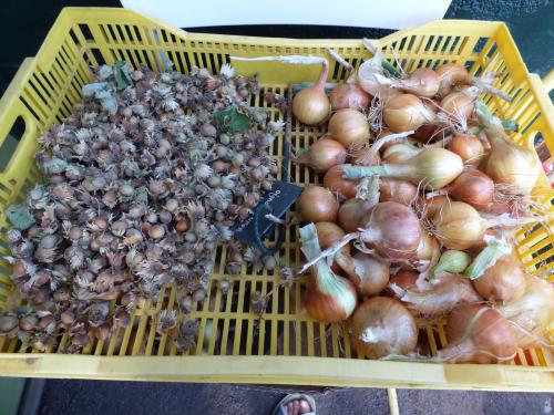 Récoltes de fin d'été...