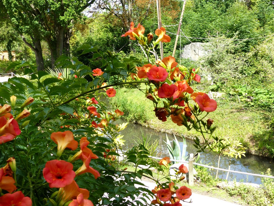 Nous voilà déjà à la mi-août ! 