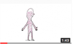 Comment expliquer le cerveau aux enfants?
