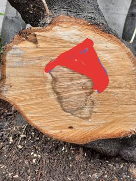 Yves P.‏ - les émanants