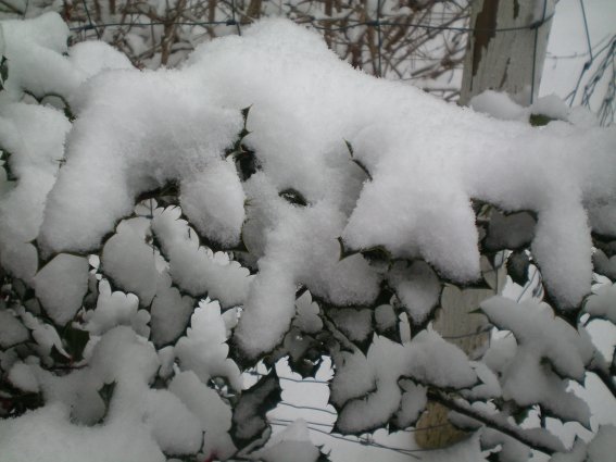 image26.jpg
