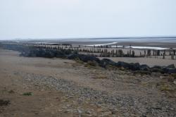 La randonnée du 10 octobre à Ver-sur-mer