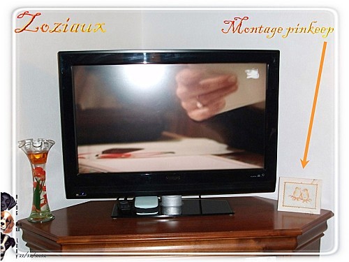 2012 12 21 zoziaux pinkeep (00)