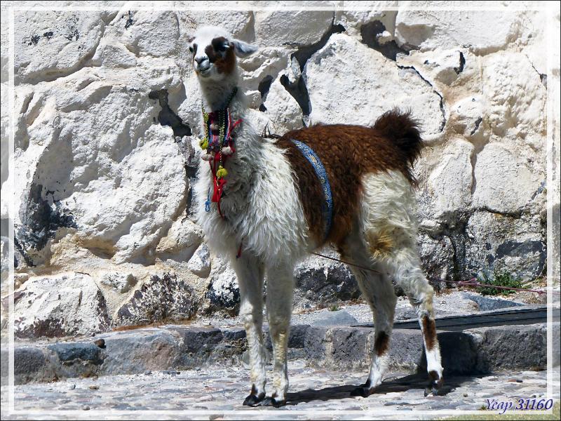 Escale "technique" pour notre guide à Achoma (Maca) - Canyon de Colca - Pérou