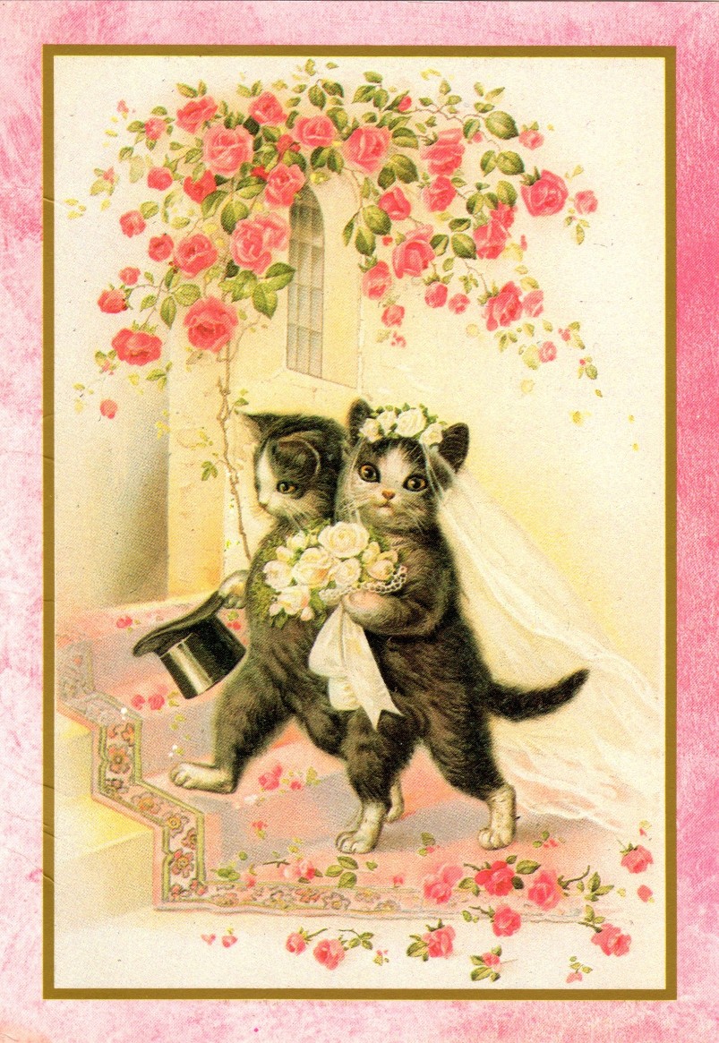 Saint valentin 2014 carte mariage chats