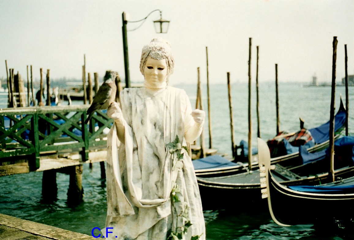 Carnaval de Venise oiseaux et chats