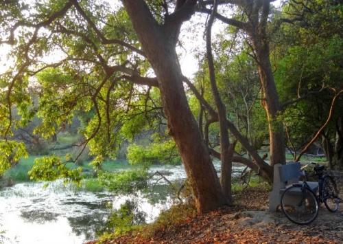 Patrimoine mondial de l'Unesco : Le parc national de Keoladeo -Inde-