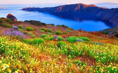 Le jardin de la Reine d'Ithaque