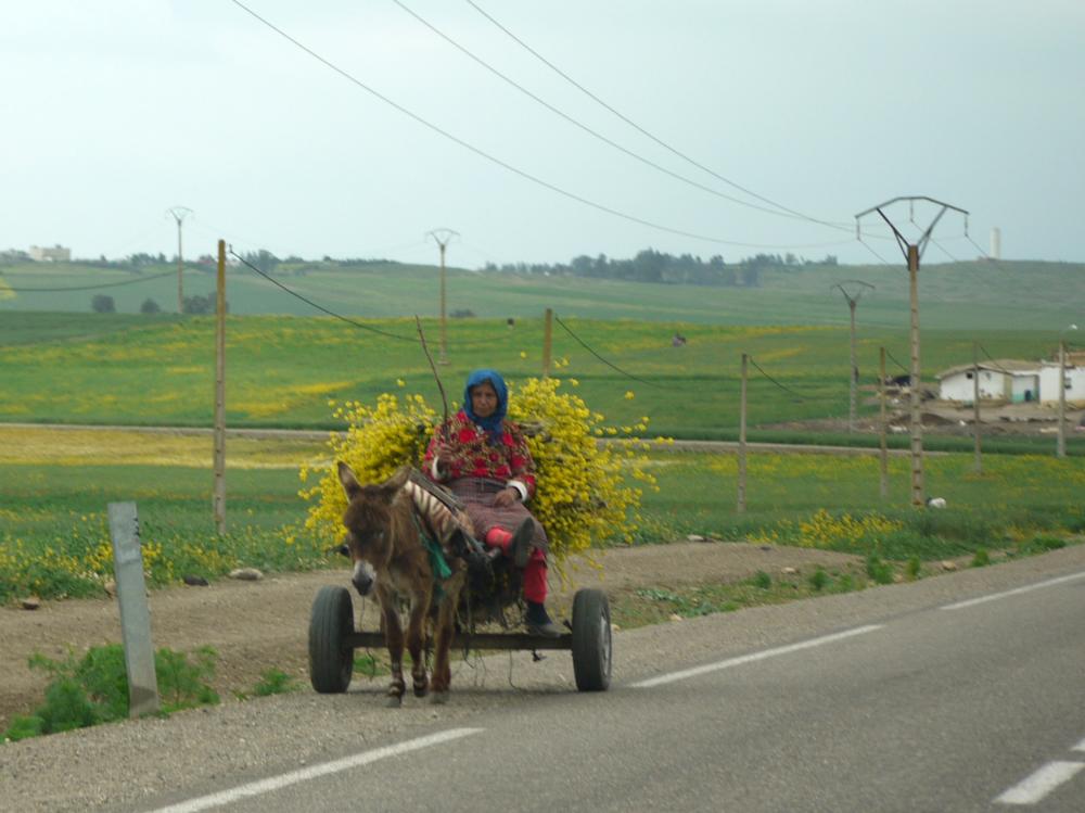 Scènes de vie dans le Rif
