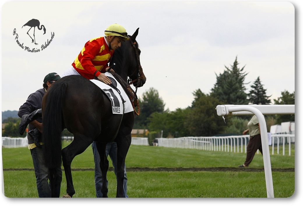 Hippodrome des Courbiers - Nimes (30)