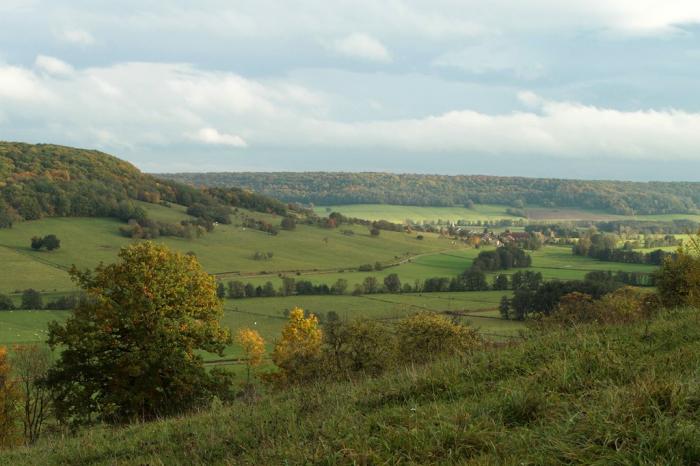 Département de la Haute Marne