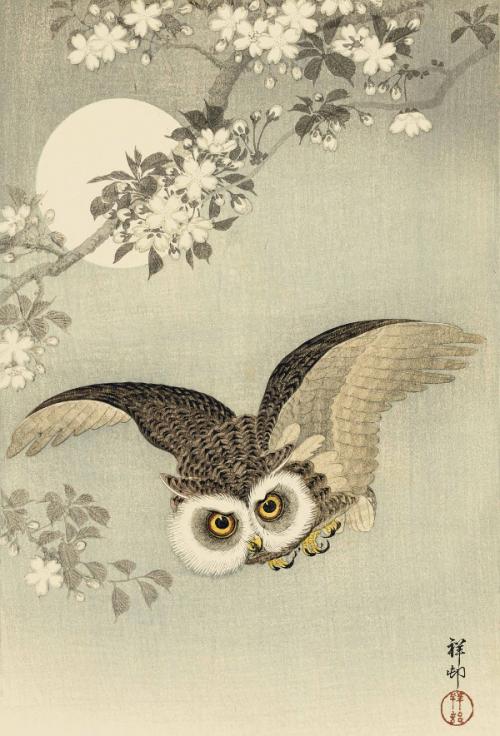 Koson Ohara Artiste peintre