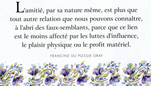 L'amitié en image (14)