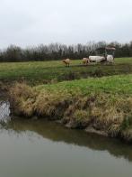 La randonnée du 23 janvier à Cabourg