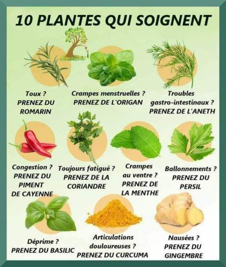 ☆*:;;;;;;:*☆*: Nos Aliments *☆*:;;;;;:*☆*