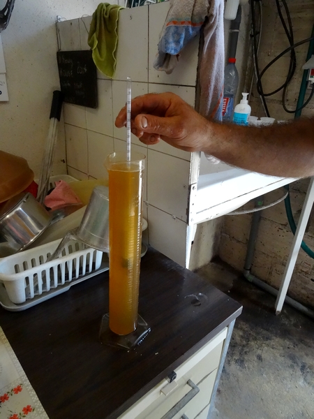 Les vendanges 2014 au Domaine Brigand de Massingy