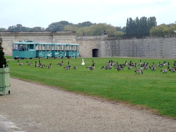 Un superbe voyage au château de Chantilly a été proposé aux adhérents des Amis du Musée du Pays Châtillonnais....