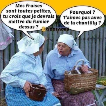 ღ꧁ღ╭⊱ꕥ Avec Humour ! ꕥ⊱╮ღ꧂ღ