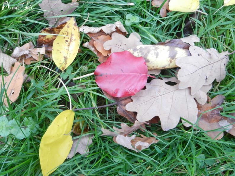 Image012.jpg