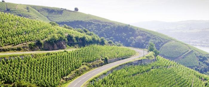 Département du Rhône