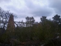 paysage