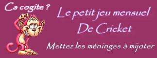 Le petit jeu mensuel de Cricket...