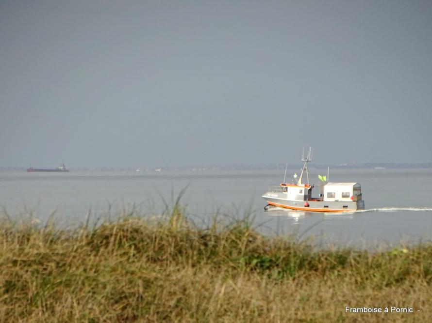 Balade à Noirmoutier février 2020
