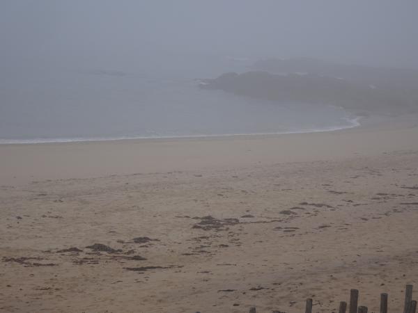 Du gris, du gris, sans nuance !