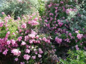 Un dimanche au parc  ... 