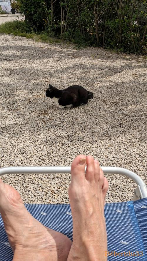 une pause à Villanova