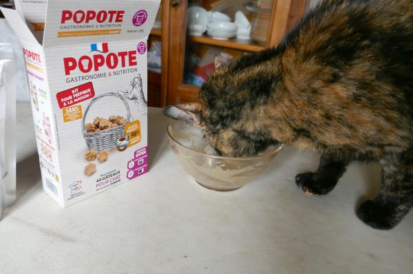 Petits gâteaux pour les chats