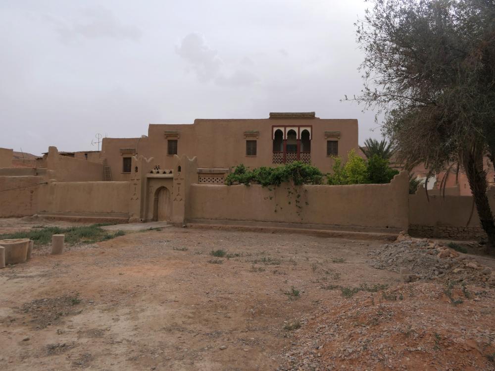 Palmeraie du Ziz