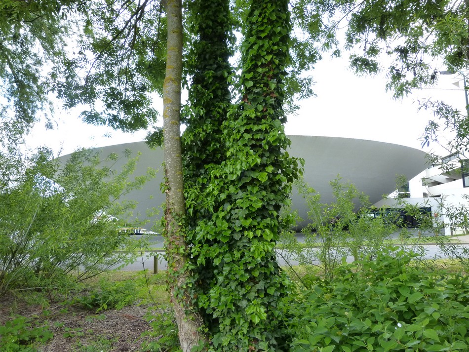 ESIEE - Amiens (5 et fin)