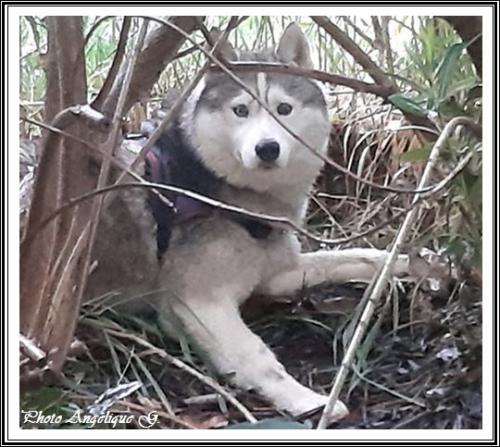 Jeska (presque 6 ans)