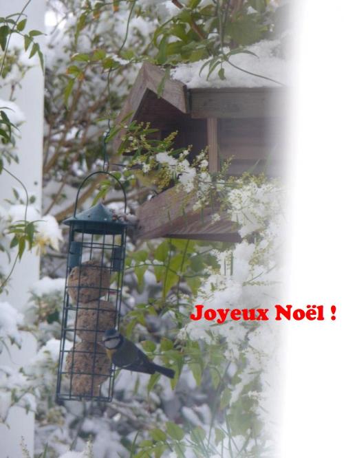 JOYEUX NOEL ! 