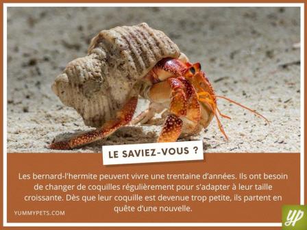 ღ꧁ღ╭⊱ꕥ   A Savoir A Voir … ꕥ⊱╮ღ꧂ღ