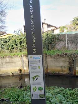 CR / RANDO 20 / FONTAINE D'ALARC - Balade urbaine 
