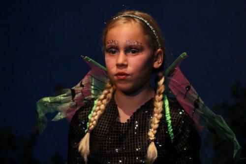 PHOTOS Petits songes et faceties