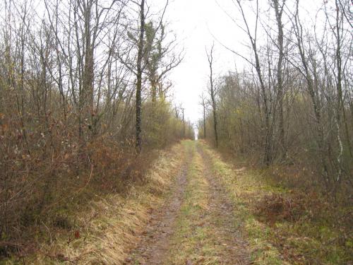"Mercredi, ah j'ai foot et rando !!!" - Mercredi 28 mars 2018