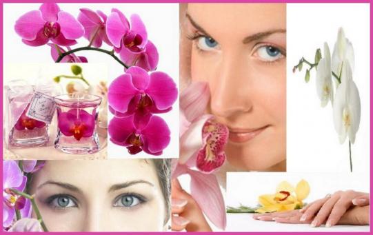 ღ꧁ღ╭⊱ꕥ Les Bienfaits ꕥ⊱╮ღ꧂ღ