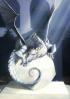 Artefact_048.jpg