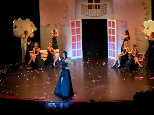 L'élection de Miss Côte d'Or au Théâtre Gaston Bernard : Les candidates....