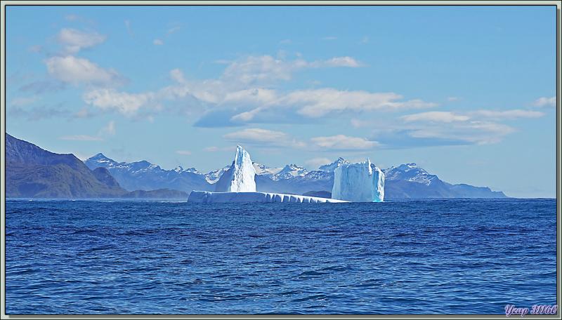 Les passagers remontés à bord, les Zodiacs remisés sur le pont supérieur, nous naviguons vers Grytviken - Géorgie du Sud