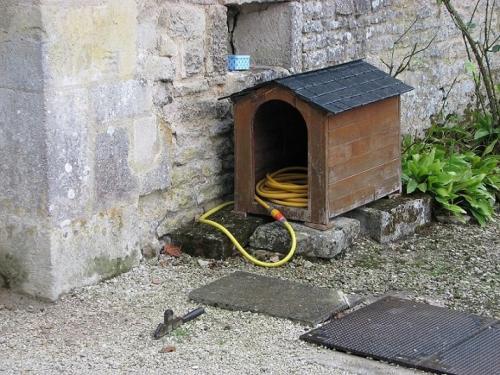 ... Attention au chien...!