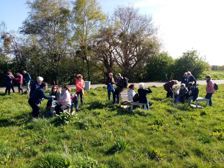 La randonnée du 7 avril à Hérouville-Saint-Clair