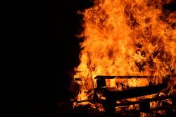 Fête du peuple animal samedi 25 août 2018